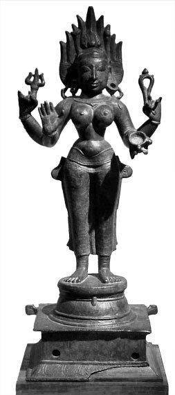 100 великих загадок Индии - i_071.jpg