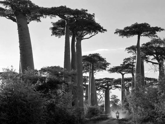 100 великих загадок Индии - i_076.jpg