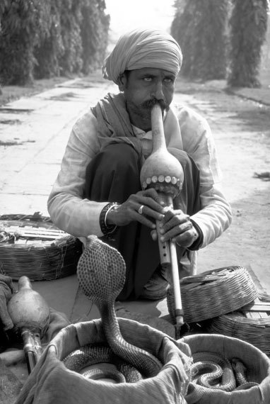 100 великих загадок Индии - i_088.jpg