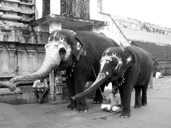 100 великих загадок Индии - i_090.jpg