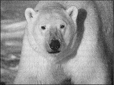 100 великих рекордов живой природы - i_087.jpg