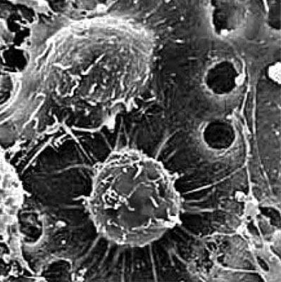 100 великих событий ХХ века - i_101.jpg