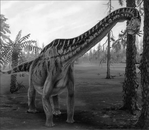 100 великих тайн доисторического мира - i_026.jpg