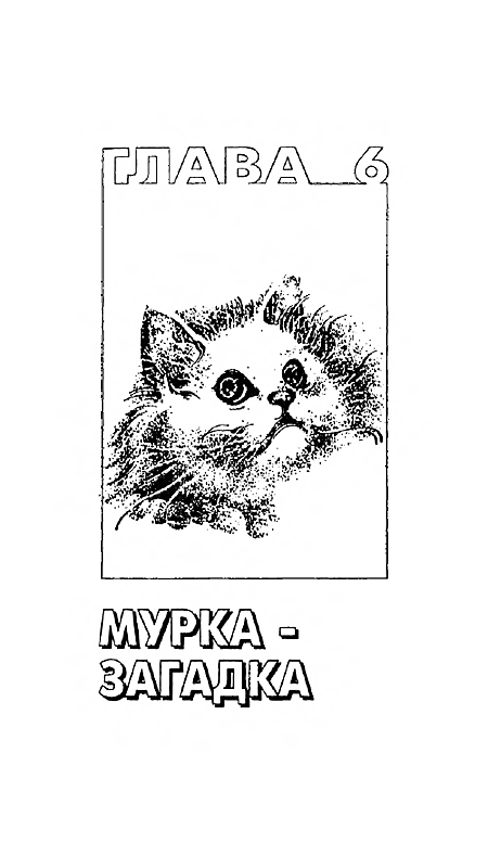 200 Кошачьих 