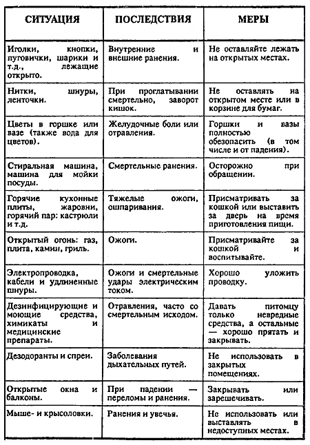 200 Кошачьих 