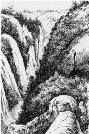 Доисторическая Европа. - i_002.jpg