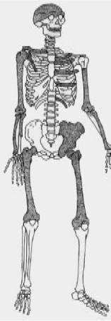 Доисторическая Европа. - i_005.jpg