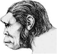 Доисторическая Европа. - i_010.jpg