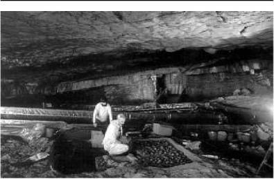 Доисторическая Европа. - i_015.jpg