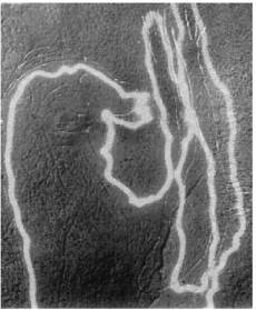 Доисторическая Европа. - i_017.jpg