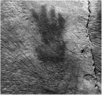 Доисторическая Европа. - i_020.jpg