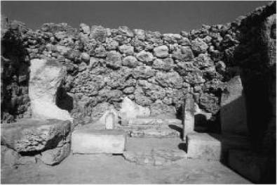 Доисторическая Европа. - i_027.jpg