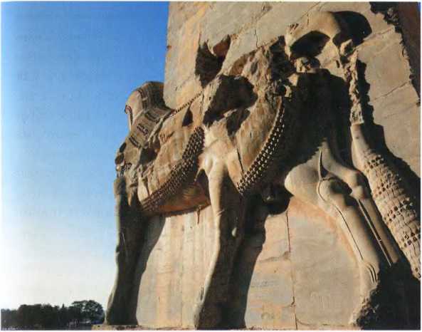 Заrадки старой Персии - i_026.jpg