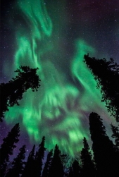 Апатрид. Книга 1 (СИ) - автор Коваленко Евгений Борисович 