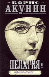 Пелагия и Черный Монах - автор Акунин Борис 