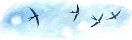 Сказка о попе и о работнике его Балде - i_001.jpg