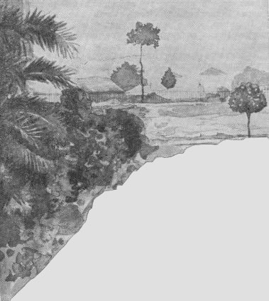 Том 28. Письма 1901-1902 - i_003.jpg