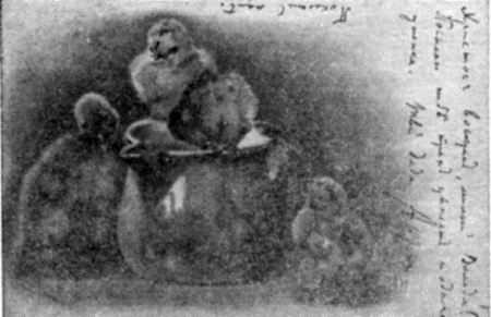 Том 30. Письма 1904. Надписи - i_007.jpg