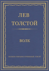 Полное собрание сочинений. Том 26 - автор Толстой Лев Николаевич 