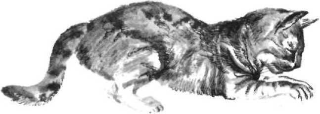 Рассказ аэронавта - image10.jpg