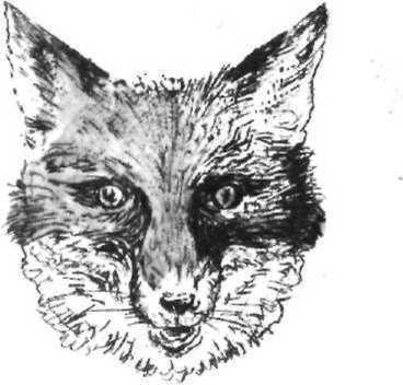 Рассказ аэронавта - image11.jpg