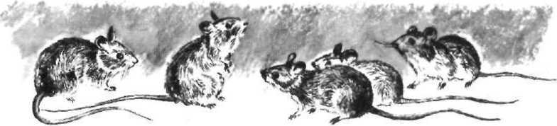 Рассказ аэронавта - image9.jpg