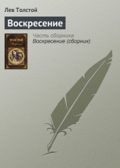 Том 13. Воскресение - автор Толстой Лев Николаевич 