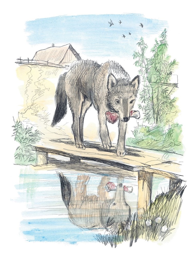 Три медведя. Сказки, басни, были (сборник) - i_009.jpg