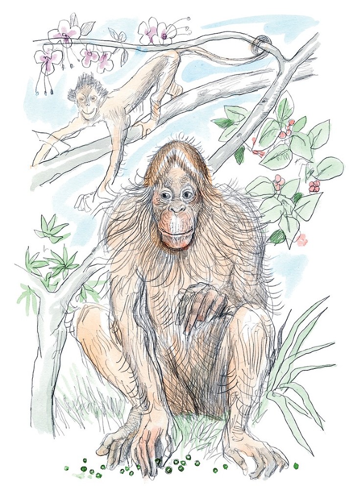 Три медведя. Сказки, басни, были (сборник) - i_016.jpg