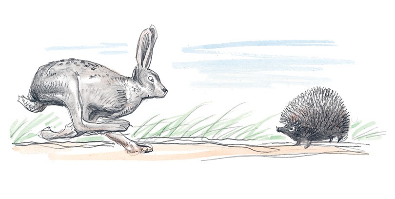 Три медведя. Сказки, басни, были (сборник) - i_019.jpg