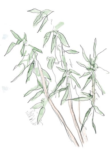 Три медведя. Сказки, басни, были (сборник) - i_034.jpg