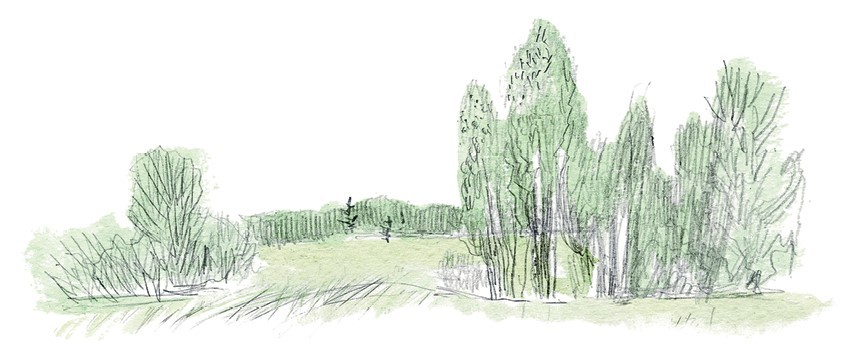 Три медведя. Сказки, басни, были (сборник) - i_037.jpg