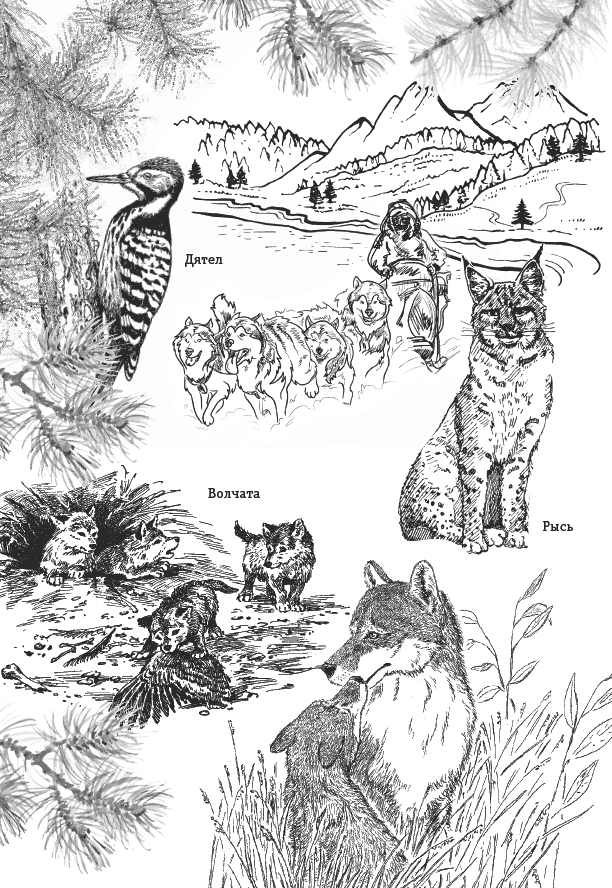 Белый клык (сборник). С комментариями для школьников - i_001.png