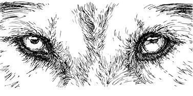 Белый клык (сборник). С комментариями для школьников - i_006.jpg