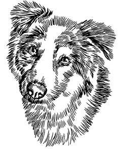 Белый клык (сборник). С комментариями для школьников - i_009.jpg