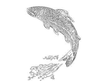 Белый клык (сборник). С комментариями для школьников - i_010.jpg