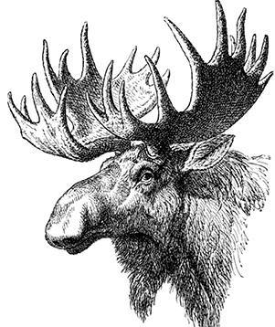 Белый клык (сборник). С комментариями для школьников - i_011.jpg