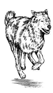 Белый клык (сборник). С комментариями для школьников - i_012.jpg