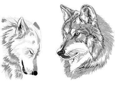 Белый клык (сборник). С комментариями для школьников - i_013.jpg