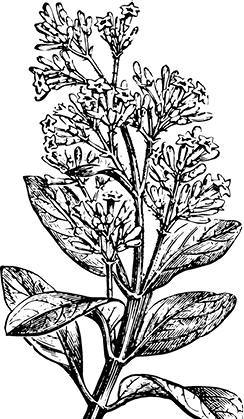 Белый клык (сборник). С комментариями для школьников - i_015.jpg