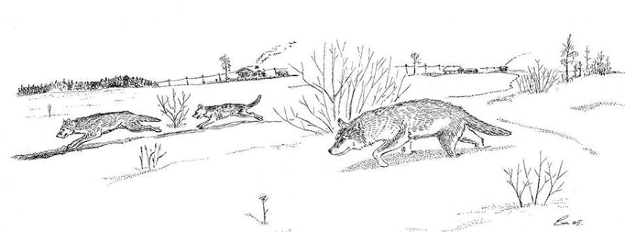 Белый клык (сборник). С комментариями для школьников - i_019.jpg