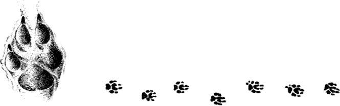 Белый клык (сборник). С комментариями для школьников - i_022.jpg