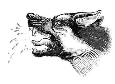 Белый клык (сборник). С комментариями для школьников - i_025.jpg