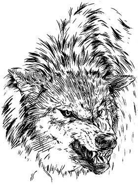 Белый клык (сборник). С комментариями для школьников - i_029.jpg