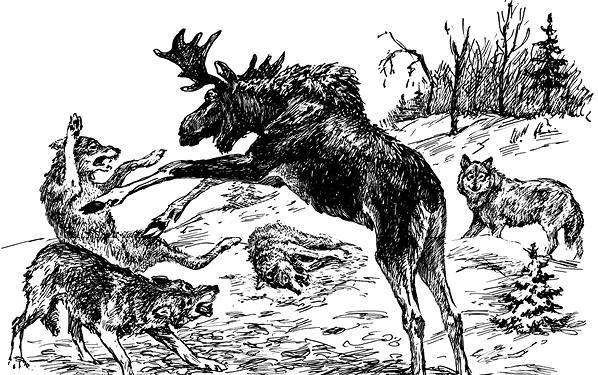 Белый клык (сборник). С комментариями для школьников - i_030.jpg