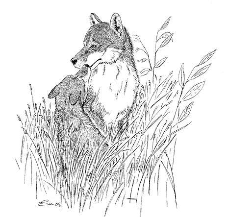 Белый клык (сборник). С комментариями для школьников - i_031.jpg