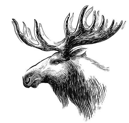 Белый клык (сборник). С комментариями для школьников - i_034.jpg