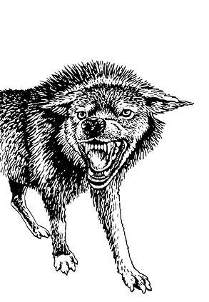 Белый клык (сборник). С комментариями для школьников - i_035.jpg