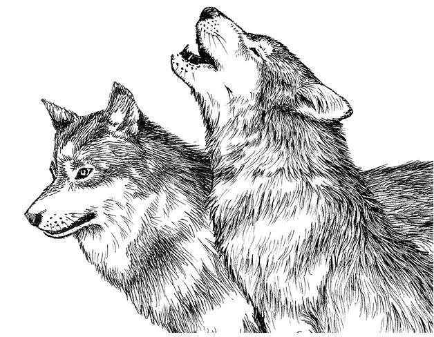 Белый клык (сборник). С комментариями для школьников - i_036.jpg