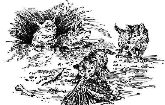 Белый клык (сборник). С комментариями для школьников - i_040.jpg